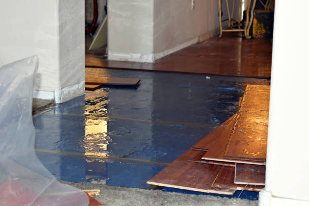 Professional Water Extraction technician working in Lester, IA